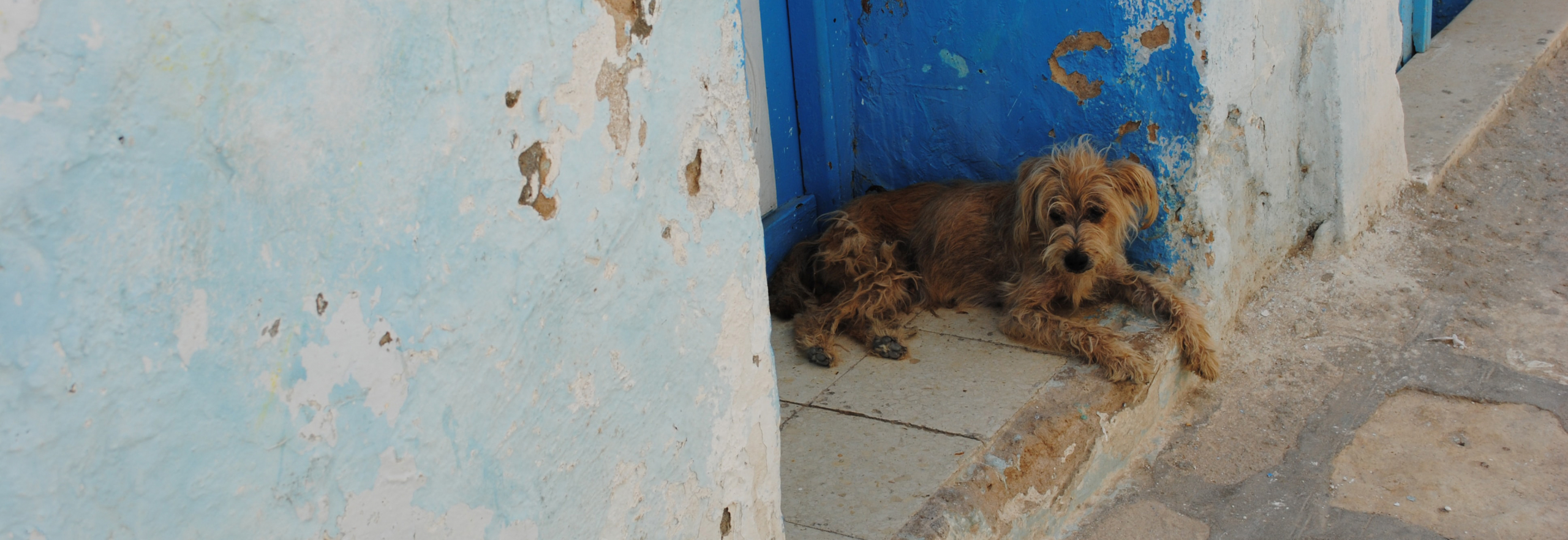 jr-harris-qTe9FKR6zpc-unsplash